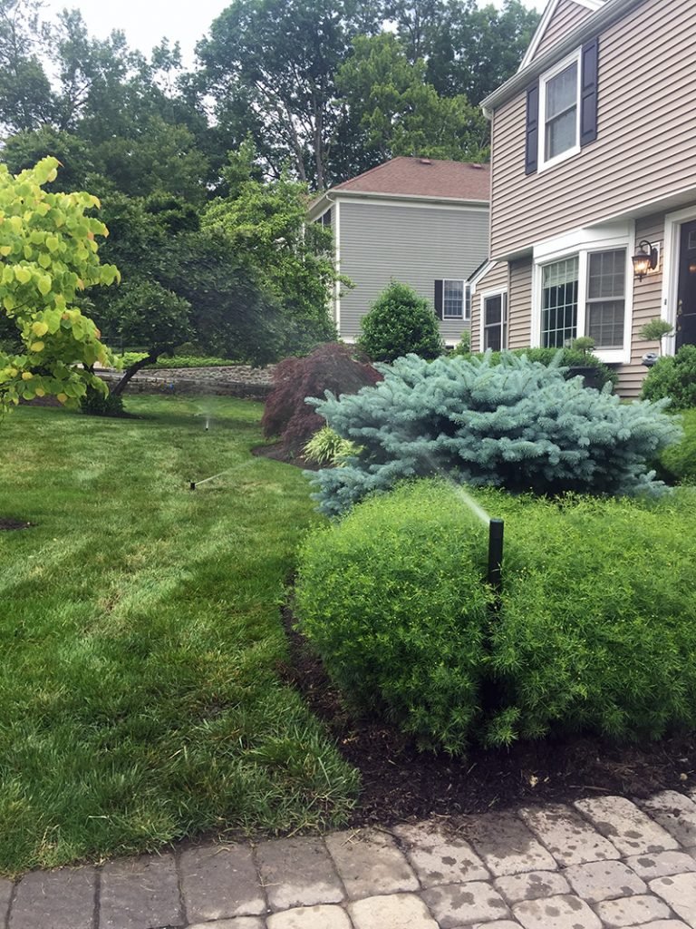 Madison – Complete Install